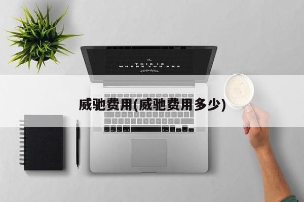 威驰费用(威驰费用多少)