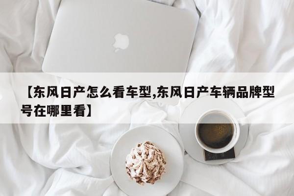 【东风日产怎么看车型,东风日产车辆品牌型号在哪里看】